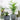 Plant Support