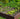 10 Pack Animal Barrier Fence 43 cm (H) X 33 cm (W)