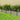 Decorative Garden Fence 10 Panels No Dig Metal Fencing 43 cm (H) × 3.3 m (L)