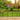 Decorative Garden Fence 10 Panels No Dig Metal Fencing 43 cm (H) × 3.3 m (L)