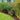 Decorative Garden Fence4