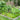 Decorative Garden Fence 60 cm (H) x 33 cm (W)