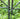 Thealyn Decorative Garden Fence 60cm (H) x 3m (L)