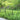 Thealyn Decorative Garden Fence 60cm (H) x 3m (L)