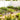 Decorative Garden Fence4