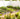 Decorative Garden Fence4