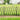 Decorative Metal Garden Fence