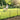 Decorative Metal Garden Fence