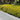 Metal Decorative Garden Fence Panels, 82cm (H) x 50cm (W)