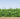 Thealyn Metal Decorative Garden Fence Border 82 cm (H) x 6.1 m (W)