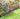 Metal Decorative Garden Fence Panels, 82cm (H) x 50cm (W)