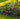 Metal Decorative Garden Fence Panels, 82cm (H) x 50cm (W)