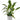 25 cm W x 40 cm H (10-Pack) Metal Plant Support Stakes