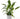 25 cm W x 40 cm H (10-Pack) Metal Plant Support Stakes