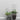 4 Pack Ivy - Wave Design, Black Indoor/Outdoor Metal Plant Trellis