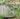 Garden Trellis 2 Pack 203 cm (H) x 56 cm (W)