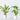 25 cm W x 40 cm H (10-Pack) Metal Plant Support Stakes