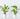 25 cm W x 40 cm H (10-Pack) Metal Plant Support Stakes