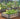 Metal Garden Fence 81cm (H) x 71cm (W)