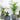 25 cm W x 40 cm H (10-Pack) Metal Plant Support Stakes