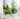 4 Pack Ivy - Wave Design, Black Indoor/Outdoor Metal Plant Trellis