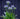 12 Pack 18 Inch (45cm) Metal Plant Support Stakes