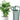 25 cm W x 40 cm H (10-Pack) Metal Plant Support Stakes
