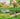 Garden Wire Mesh 2FT x 50FT(0.6M x 15.2M)