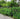 Decorative Garden Fence 44cm (H) x 3m (L)