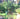  账号名：thealyngarden  密码：thealyn123