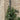 Thealyn Garden Trellis 2 Pack - 182 cm (H) x 31 cm (W)