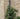 Thealyn Garden Trellis 2 Pack - 182 cm (H) x 31 cm (W)